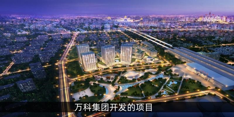 万科集团开发的项目