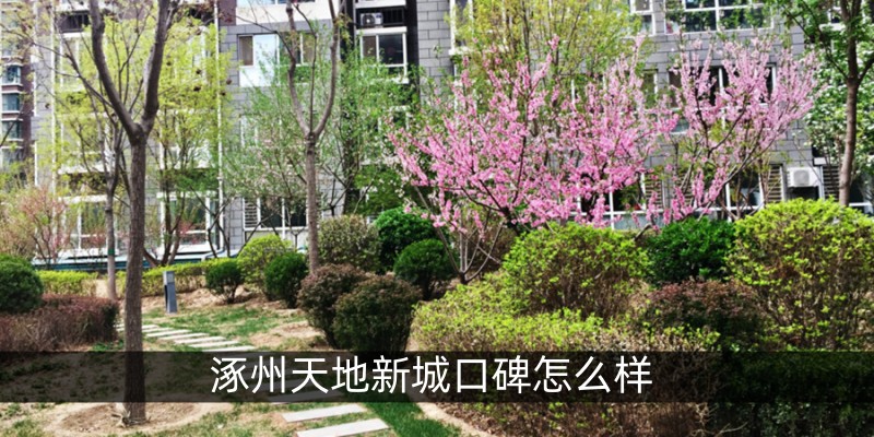 涿州天地新城口碑怎么样