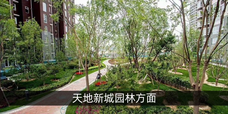 天地新城园林方面