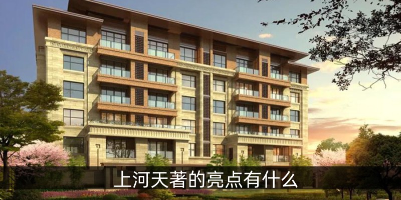 上河天著的亮点有什么
