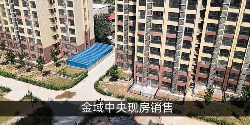 金域中央现房销售