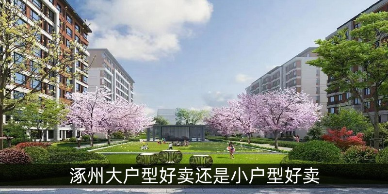 涿州大户型好卖还是小户型好卖