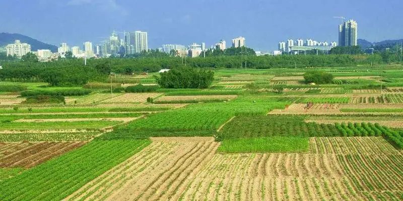 涿州清凉寺街道办事处塔东村土地征收预公告