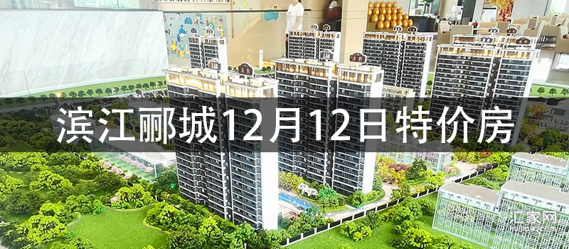 滨江郦城12月12日特价房