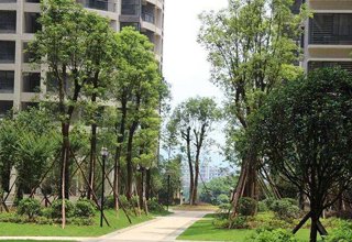 涿州水岸花城属于哪个街道？