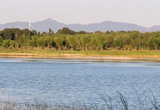 涿州东仙坡野鸭湖农场出行路2022年11月至2023年7月修建