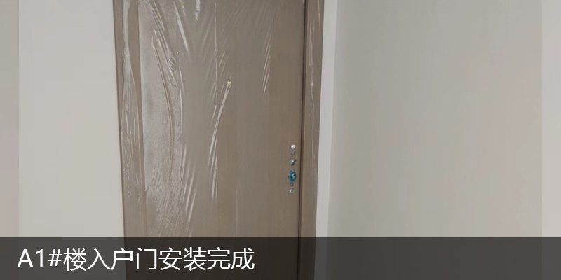 浪潮一览云山A1#楼入户门安装完成