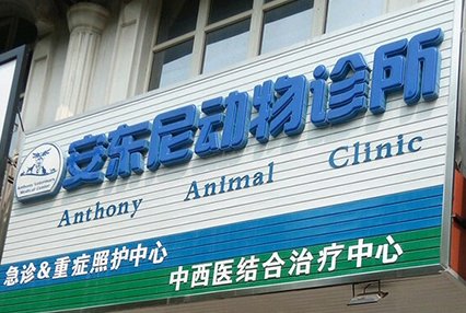 涿州安东尼宠物医院附近有哪些小区出租房多少钱