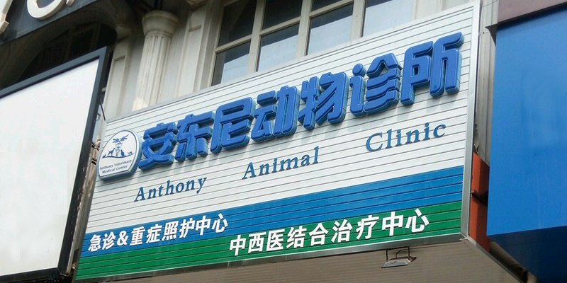 涿州安东尼宠物医院附近有哪些小区出租房多少钱