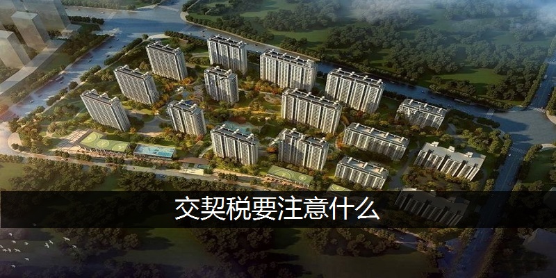 交契税要注意什么