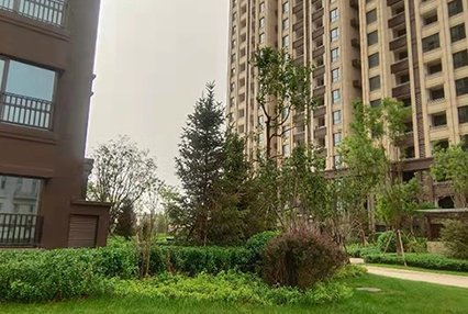 涿州印象城小区规划好绿化不错