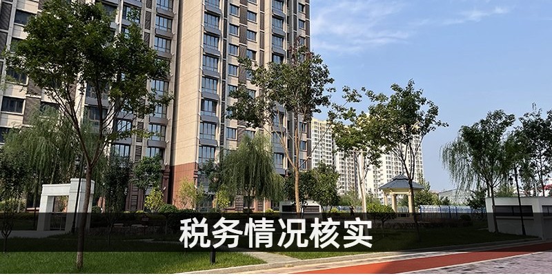 税务情况核实