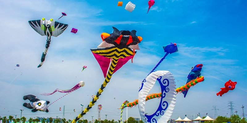 中冶未来城风筝文化节