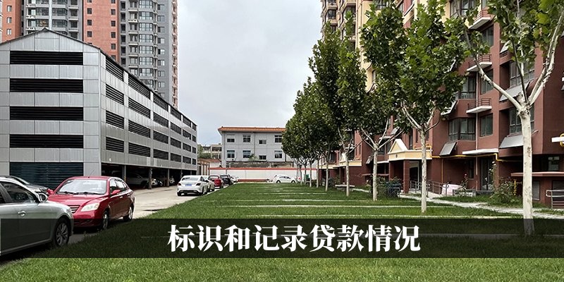 标识和记录贷款情况