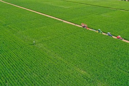 高标准农田每亩地能领多少钱 哪些人能领 如何申请