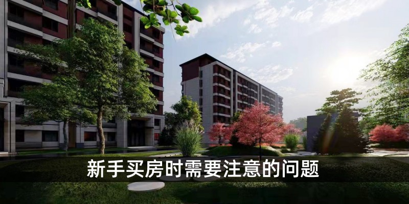 新手买房时需要注意的问题