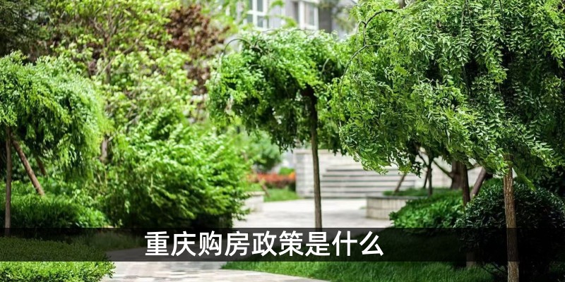 重庆购房政策是什么 