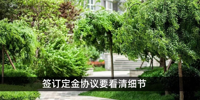 签订定金协议要看清细节