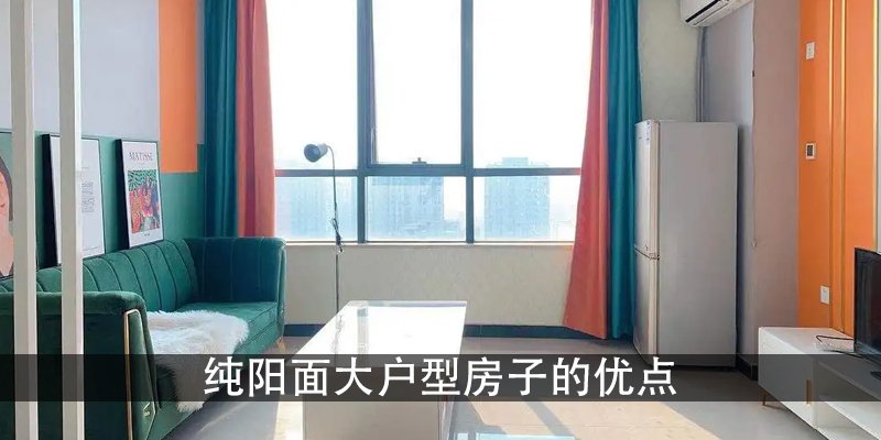 纯阳面大户型房子的优点