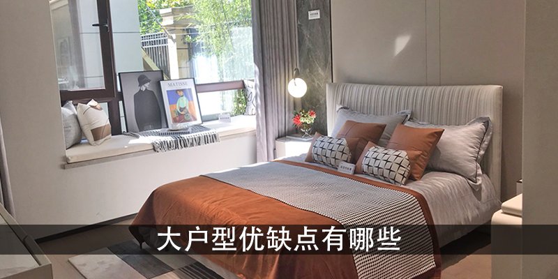 大户型优缺点有哪些