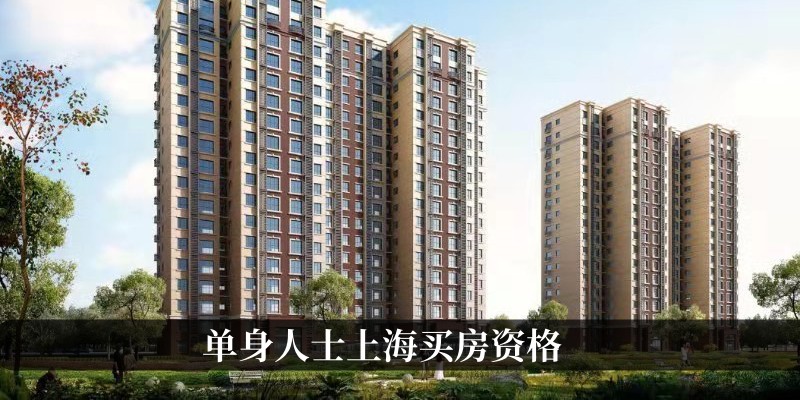 单身人士上海买房资格
