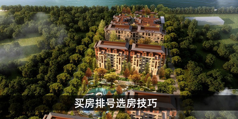 买房排号选房技巧