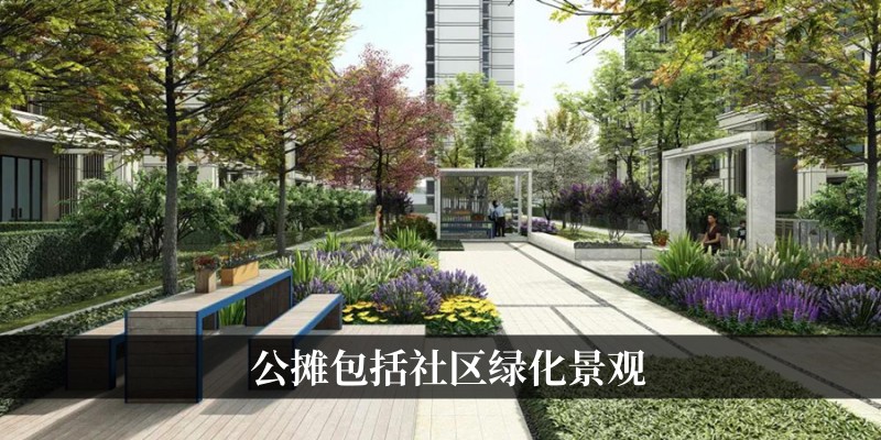 社区绿化景观