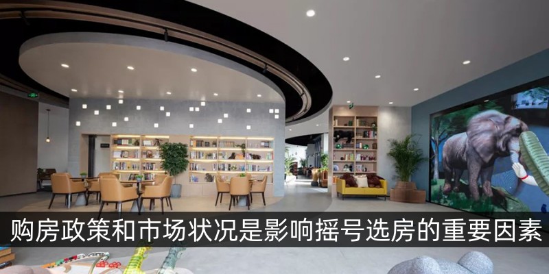 购房政策和市场状况是影响摇号选房的重要因素