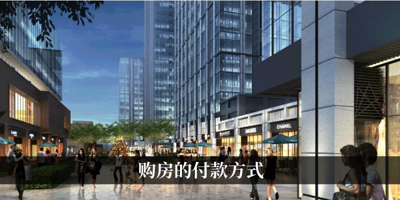 购房的付款方式