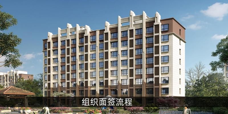 组织面签流程