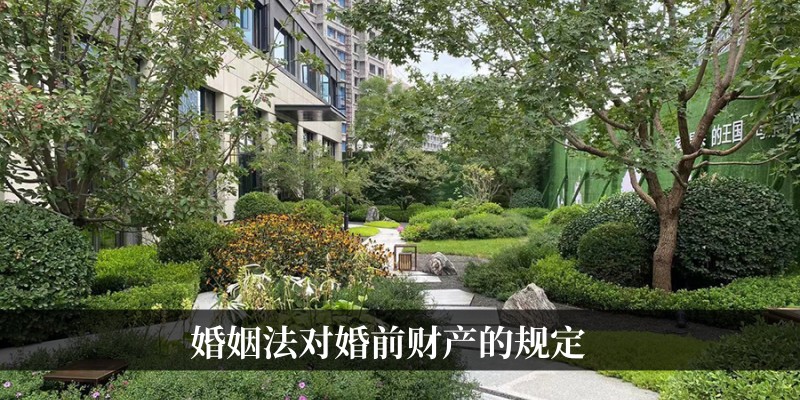 婚姻法对婚前财产的规定
