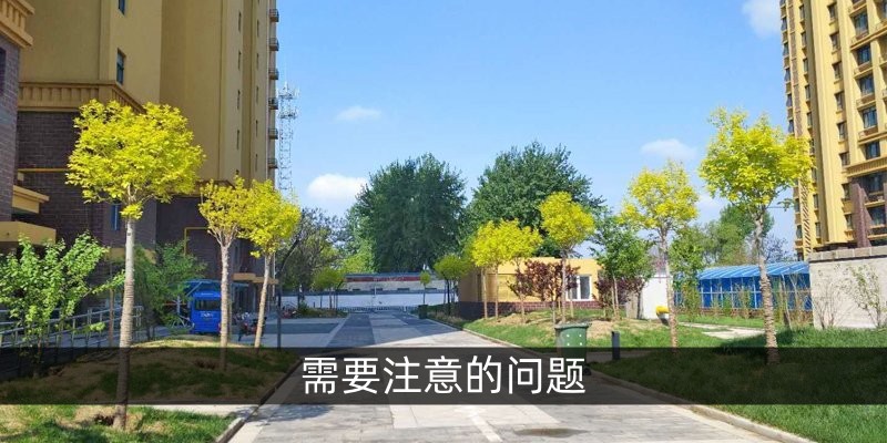 需要注意的问题