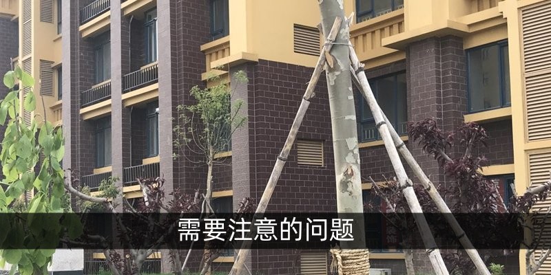需要注意的问题