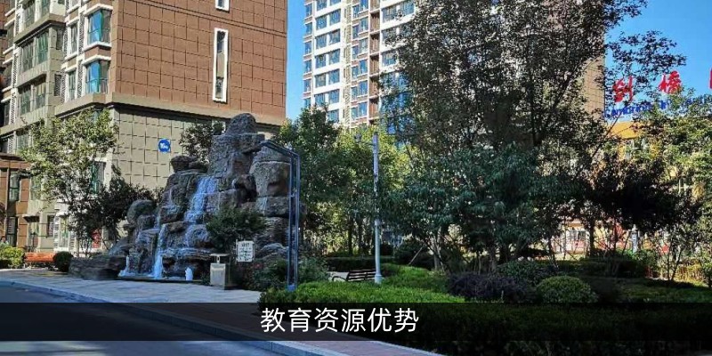 教育资源优势