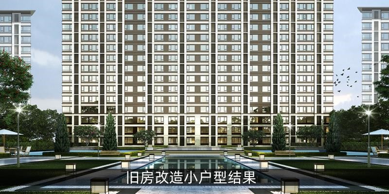 旧房改造小户型结果