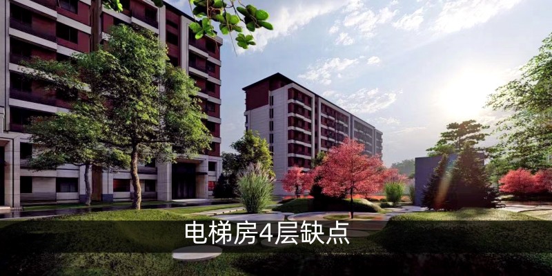 电梯房4层缺点
