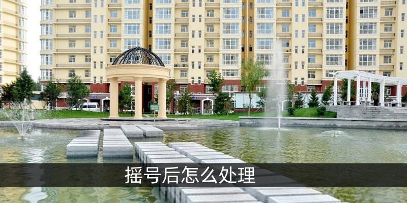 摇号后怎么处理