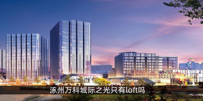 涿州万科城际之光只有loft吗