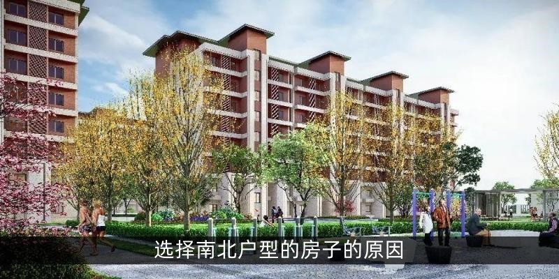 选择南北户型的房子的原因