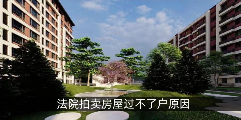 法院拍卖房屋过不了户原因