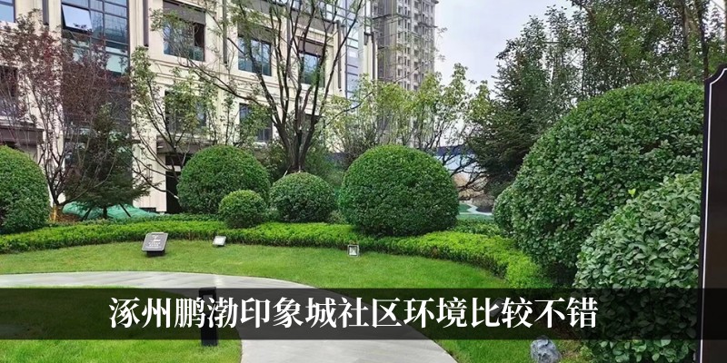 鹏渤印象城居住环境不错