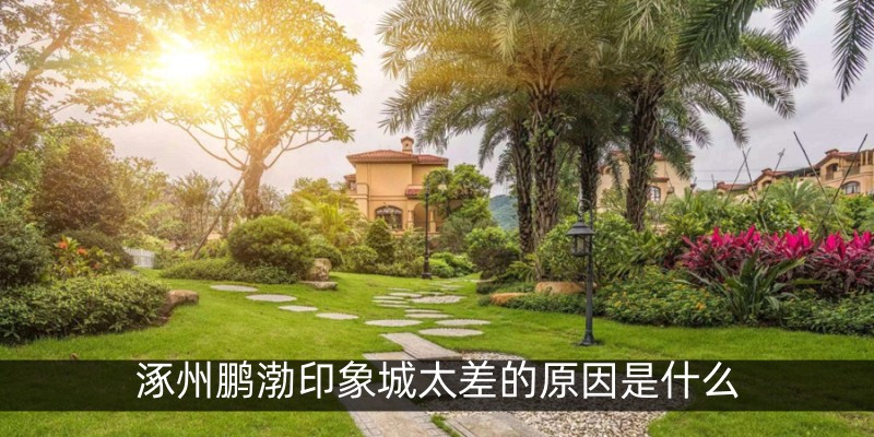 涿州鹏渤印象城太差的原因是什么
