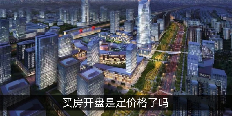 买房开盘是定价格了吗
