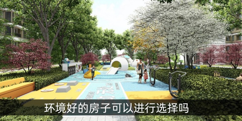 环境好的房子可以进行选择吗