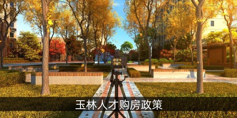玉林人才购房政策