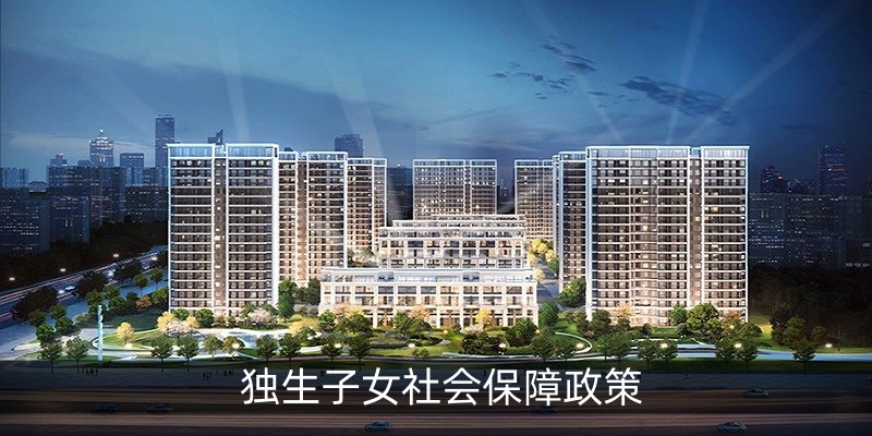 独生子女社会保障政策