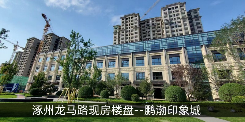 涿州龙马路现房楼盘--鹏渤印象城