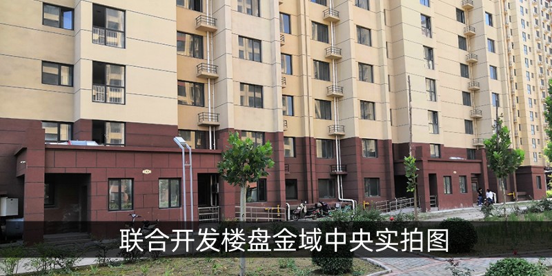 联合开发楼盘金域中央实拍图