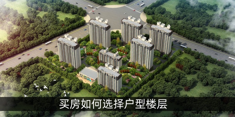 买房如何选择户型楼层