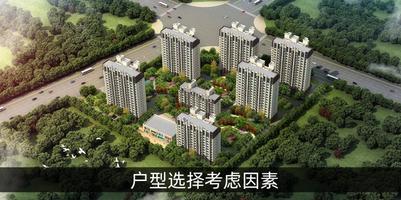 户型选择考虑因素